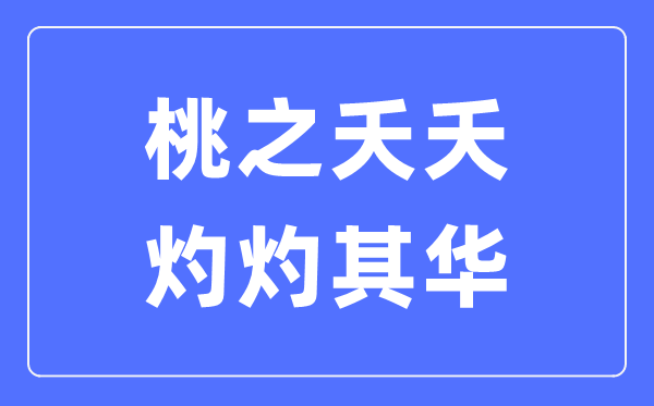 桃之夭夭,灼灼其华是什么意思,桃之夭夭灼灼其华的含义
